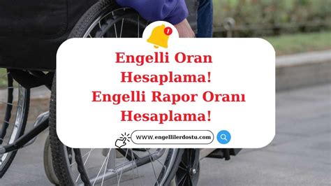 rapor oranı hesaplama